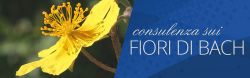 Consulenza in sede gratuita